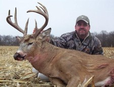 Bow Kill. Nice 4x4 with great mass.